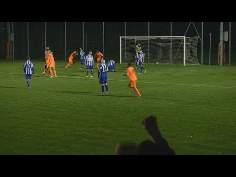 SV Hirschstetten  -  ASV13 (1:1)