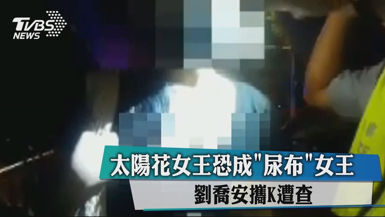 太陽花女王劉喬安　返家遭攔查獲「K她命」