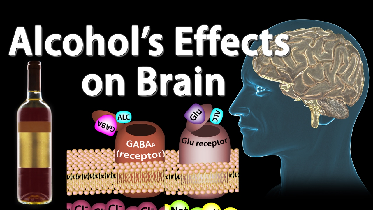 Effects of Alcohol on the Brain, Animation, Professional version.