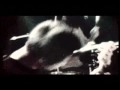 Color of Fetters - Envy
