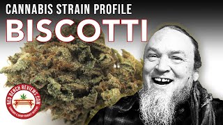 Biscotti Strain Profile by Red Bench Reviews
