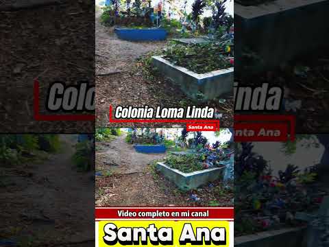 La Colonia Loma linda en Santa ana Sabias que esta en una Montaña  y tiene su propio sementerio #4