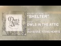 Owls in the Attic - Shelter 