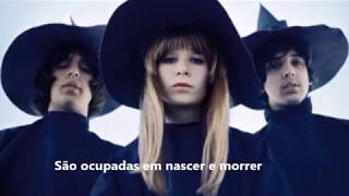 Panis et circenses - Mutantes