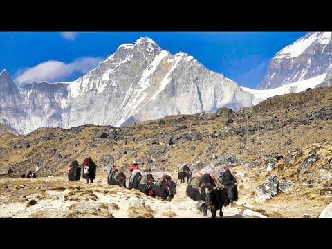 Land of the SHERPAS - Life Under Mount Everest - Everest Base Camp Trek | Full Documentary 2026