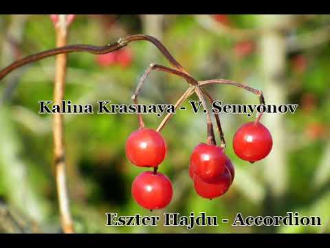 V. Semyonov - Kalina Krasnaya - Eszter Hajdu (калина красная)