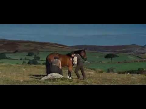 War.Horse.2011 training scene