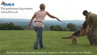 preview picture of video 'A1K9 REAL Family Protection Dogs in action!'