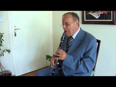 Božidar Boki Milošević and song: This morning my rose has bloomed