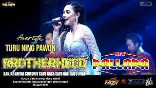 Download lagu TURU NING PAWON - ANA RISTA - NEW PALLAPA - LIVE BROTHERHOODS 2023 mp3