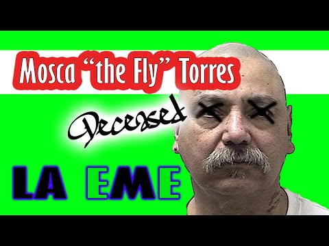 LA County Jail Tax Collector BUMPED off by La Eme Rivals (Michael Mosca the Fly Torres)