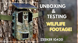 🦌 iZeeker 48MP Solar Trail Camera! Live Setup and Testing! Videos! 💥