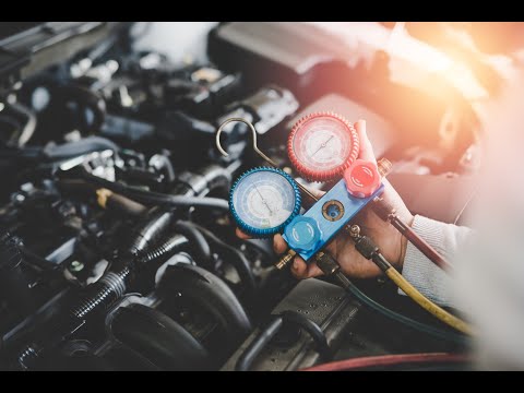 Zobacz filmy, Auto-Dubnicki, Koszalin