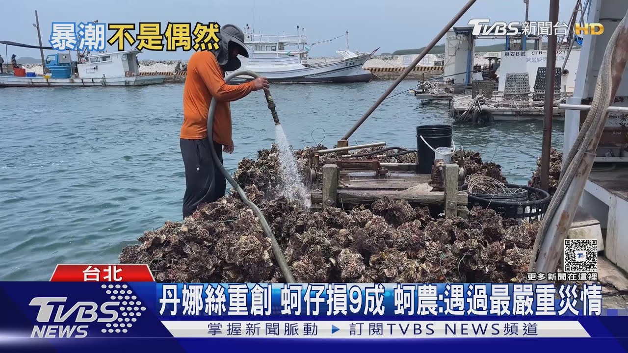 「百年一遇變兩三年一遇」蚵農損失慘重 氣候變遷威脅沿海生計
