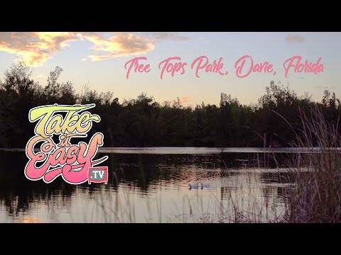 TakeItEasy.TV - Tree Tops Park, Davie, Florida - 4K UHD