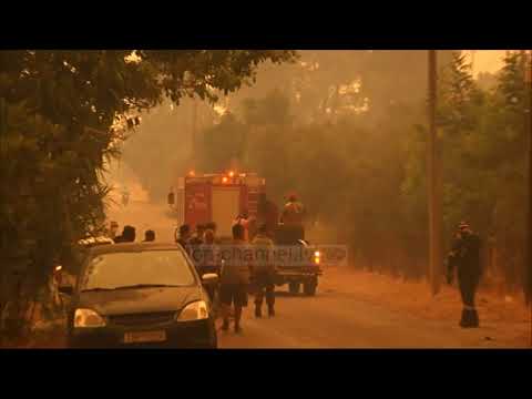 Top Channel/ 70 mijë hektarë pyje të djegura. Greqia llogarit dëme, ndërsa zjarret vazhdojnë