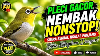 Download lagu MASTERAN PLECI GACOR SUARA BENING| NEMBAK NONSTOP mp3