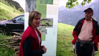 Frühlingsgefühle - Nektar und Pollenwanderung in Blons