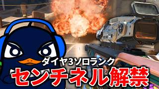 【ダイヤ3】久々にセンチネル解禁して、ガチでソロランク！ | Apex Legends