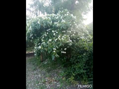 beautiful.. beautiful..👌👌