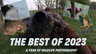THE BEST OF 2023- A YEAR OF WILDLIFE PHOTOGRAPHY- BEST IMAGES