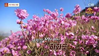 모닝와이드 - 여수 하화도 여행