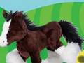 Ode To WEBKINZ