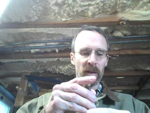 London Bridge & Luciano