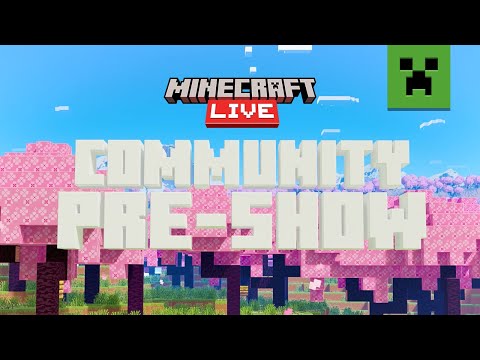 Insane Minecraft Spectacle: Never-Seen Pre-Show!