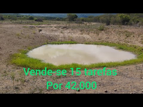 Vende-se uma propriedade no Socorro sertão de Pernambuco (87998041776)