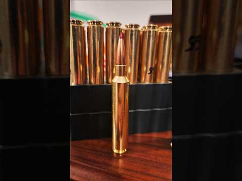 HSM ammunition I wouldn't recommend it