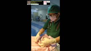 Download lagu Daily 8 Agt 2024, at 18.17 pm mp3