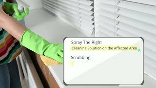 How To Clean Moldy Window Sills?