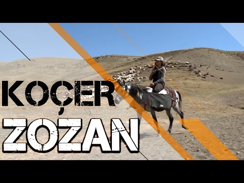 KOÇER / ZOZAN