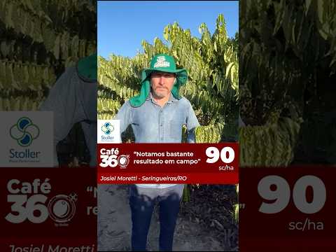 Os resultados obtidos na primeira colheita em Seringueiras/RO!