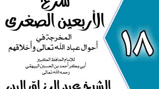 18 - شرح الأربعين الصغرى للبيهقي الباب16في الشكرعلى السراء، والصبر على الضراء الشيخ عبد الرزاق البدر image