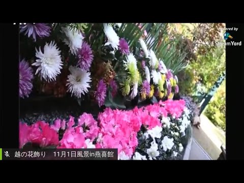 越の花飾り11月1日　風景in燕喜館
