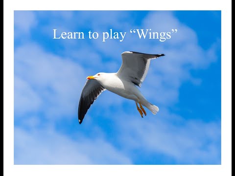 Learn to Play Wings