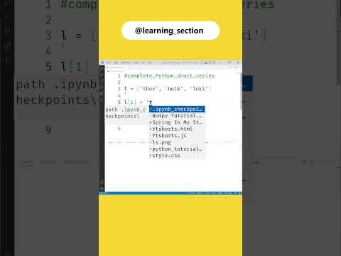 Change/update Single items in list - Python | Learning Section