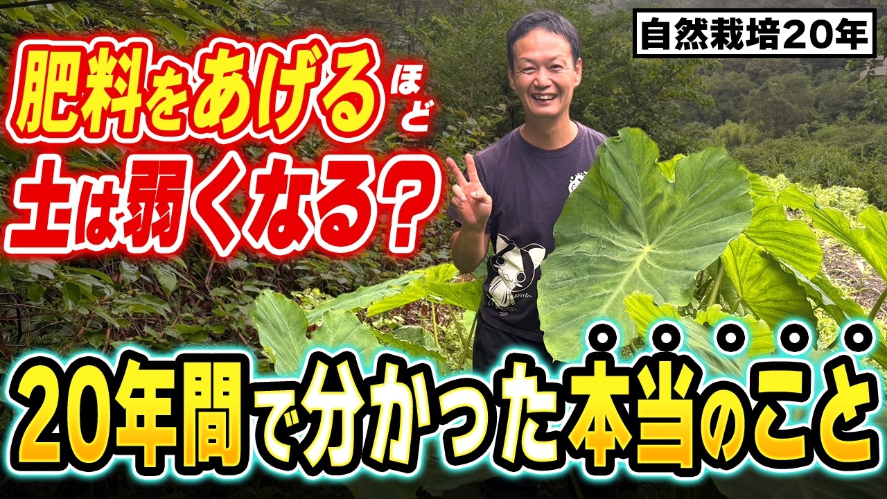 肥料をやめ土本来の力を引き出す仕組み
