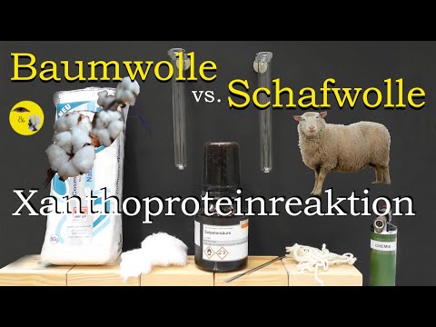 Baumwolle vs. Schafwolle - Xanthoproteinreaktion