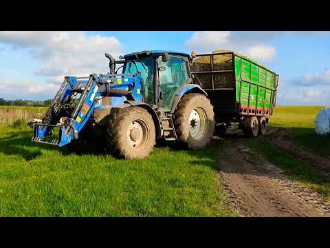 Kiszonka z kukurydzy Rumienica 2020 (JD, New Holland, Valtra, Pronar, Farmtrac)