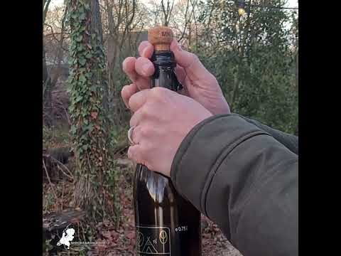 Een nachtje in een Yurt op Parc Buitengewoon in Ven-Zelderheide