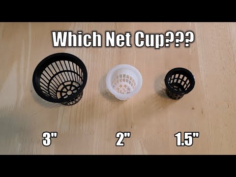 Choosing a Net Cup for Hydroponics