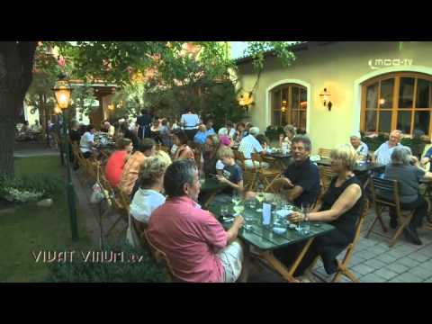 VIVAT VINUM 1.-15. September 2012