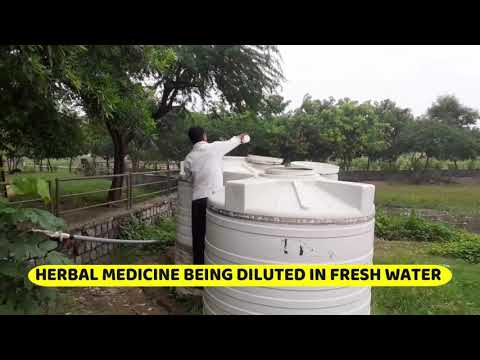Witness the transformation of a decaying lake on death bed to a lively Waterbody through the Vaidic Science of “Resurrection of the native eco...