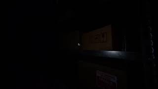 [Phasmophobia配信] 少しだけ