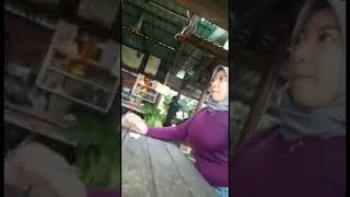 Download lagu Tante penjaga warung mp3