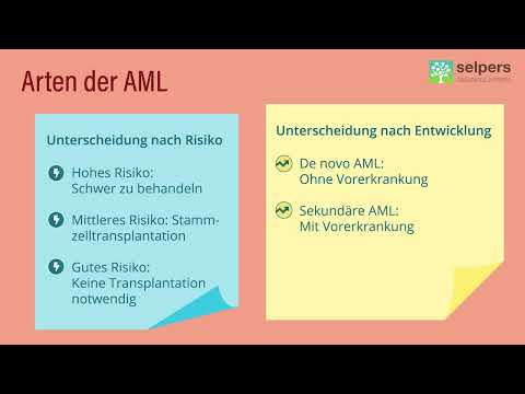 Arten von AML (Akute Myeloische Leukämie) - Experte erklärt Unterschiede