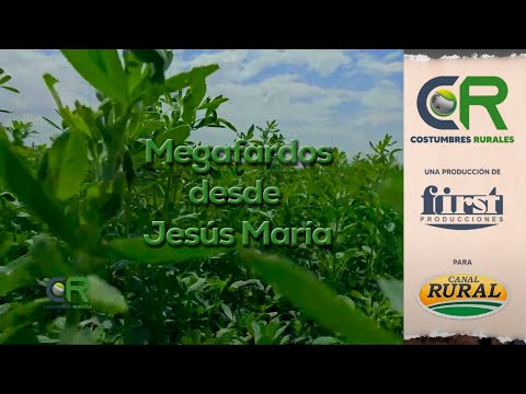 Megafardos desde Jesús María - CR#1050